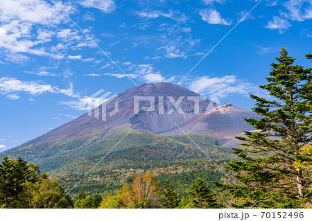 （静岡県）紅葉の始まった水ヶ塚公園から望む、富士山 70152496