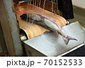 Fresh salmon on the production line in the fishing processing plant 70152533