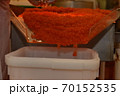 Preparing salmon caviar in the fishing processing plant 70152535