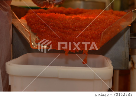Preparing salmon caviar in the fishing processing plant 70152535