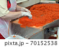 Preparing salmon caviar in the fishing processing plant 70152538