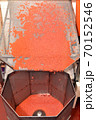 Preparing of salmon caviar in the fishing processing plant 70152546