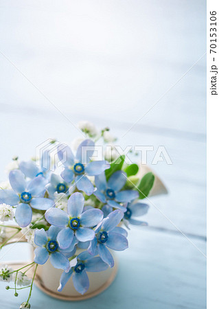 ブルースターとかすみ草 水色の花素材の写真素材