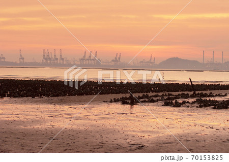19 June 2007 Oyster beach in HongKong Pak Nai sunset. Dawn, nature. 70153825