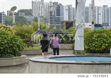 中区 ソウル 公園 70154603