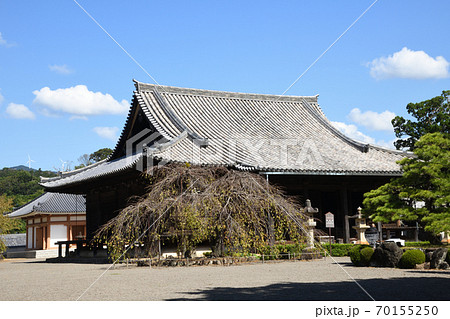 道成寺　本堂 70155250