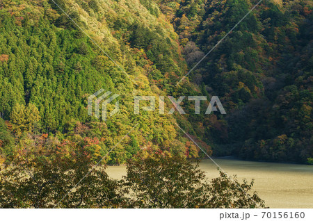 奥多摩湖と紅葉 70156160