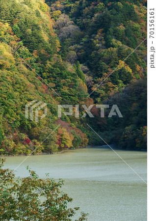 奥多摩湖と紅葉 70156161