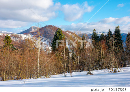 sunny winter landscape in mountains. birch forest on snow covered meadow. clouds on the vivid blue sky 70157393