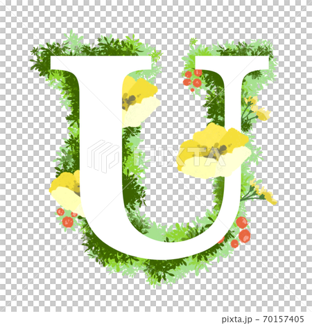 おしゃれなお花イラストの英語のフォント　U 70157405