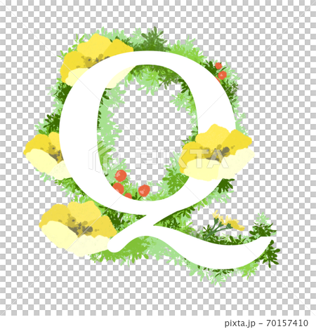 時尚花朵插畫Q的英文字體 70157410