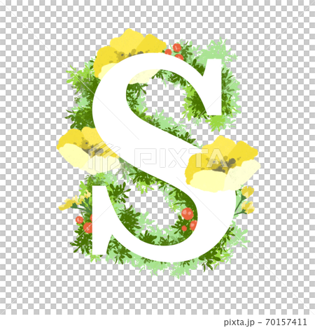 時尚花卉插圖S的英文字體 70157411