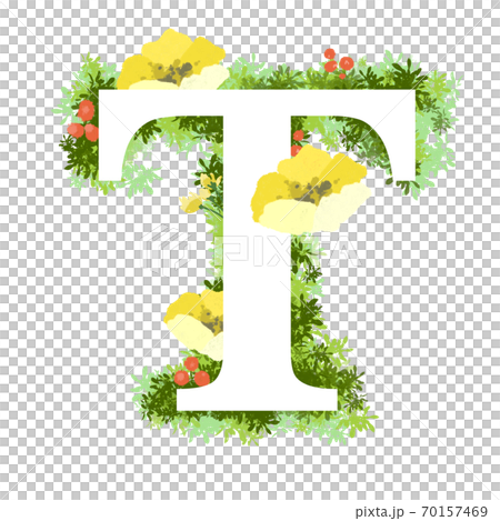 おしゃれなお花イラストの英語のフォント　T 70157469