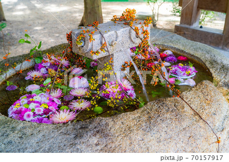 穂高神社の花手水 長野県 の写真素材