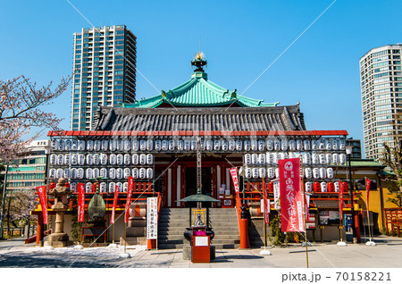 東京都台東区上野 不忍池大黒堂と桜 70158221