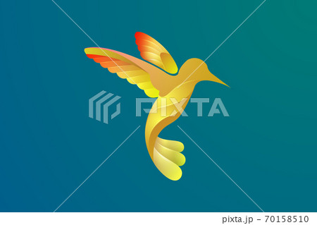Vector design of a bird in flight with various bright colors Vector design of a bird in flight with various bright colors 70158510