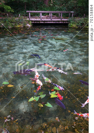 板取 名もなき池 通称モネの池 板取 名もなき池 通称モネの池 70158864