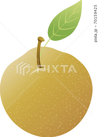 秋 果物 なし イラスト素材のイラスト素材