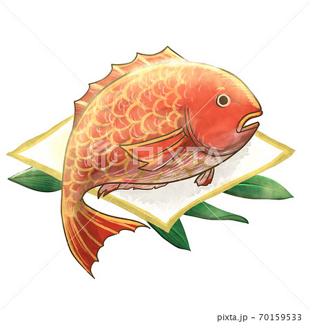 豪華な鯛のイラスト 70159533