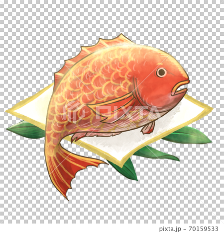 豪華な鯛のイラスト 70159533