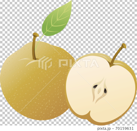 秋 果物 なし イラスト素材のイラスト素材