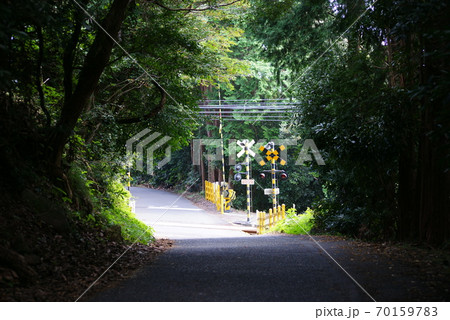 川奈10号踏切 70159783