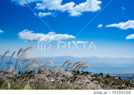 滋賀県高島市 びわこ函館山山頂のススキと琵琶湖 滋賀県高島市 びわこ函館山山頂のススキと琵琶湖 70160108