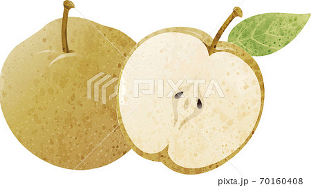 秋 果物 梨 水彩 イラスト素材のイラスト素材 [70160408] - PIXTA
