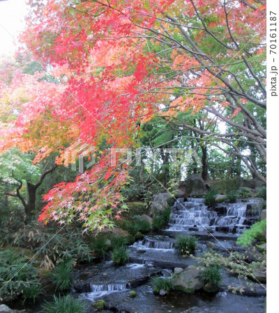 好古園、紅葉23 好古園、紅葉23 70161187