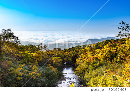 栗駒山紅葉の季節の渓流を横切る登山道と雲海 70162403