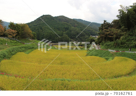 田園風景 70162761