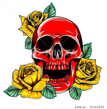 skull with roses vector illustration graphics art skull with roses vector illustration graphics art 70162844