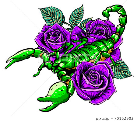 Detailed realistic scorpio in a decorative frame of roses. 70162902