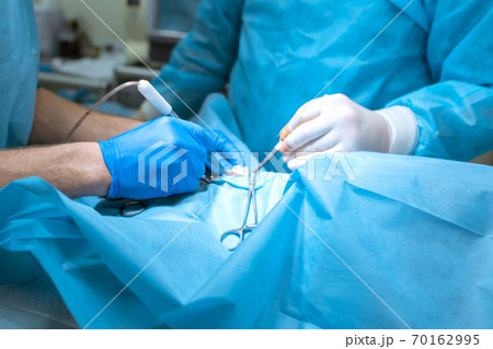 A surgeon veterinarian operates a dog in the operating room with an assistant. The medical team performs the sterilization operation. Gloved hands hold surgical instrument close up. Tinted in blue A surgeon veterinarian operates a dog in the operating room with an assistant. The medical team performs the sterilization operation. Gloved hands hold surgical instrument close up. Tinted in blue 70162995
