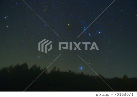 長野県南牧村、カラマツ林の上のオリオン座と冬の大三角 70163071