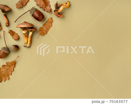 Left top corner border with autumn stuff. Left top corner border with autumn stuff. 70163077