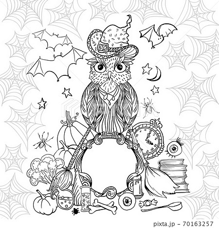 Halloween coloring page with owl in hat. Witch tools and spider web for Halloween Holiday. Halloween coloring page with owl in hat. Witch tools and spider web for Halloween Holiday. 70163257