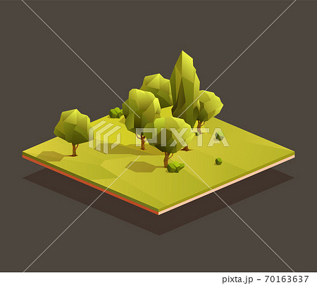 Isometric small woods area Isometric small woods area 70163637