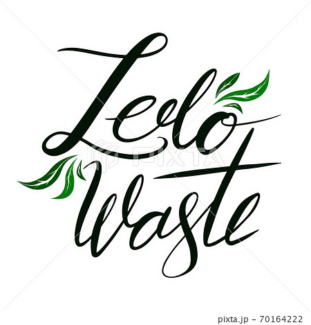 Hand drawn lettering Zero Waste with green leaves. Brush calligraphy. Vector quote Hand drawn lettering Zero Waste with green leaves. Brush calligraphy. Vector quote 70164222