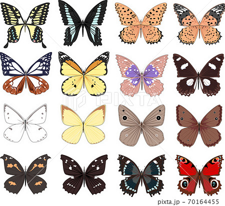 蝶三昧16種類セットのイラスト素材