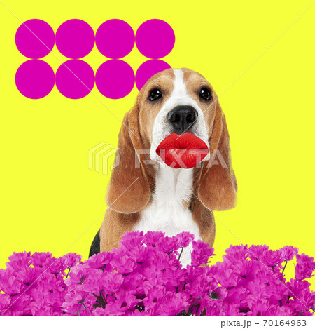Modern design, contemporary art collage with cute doggies 70164963