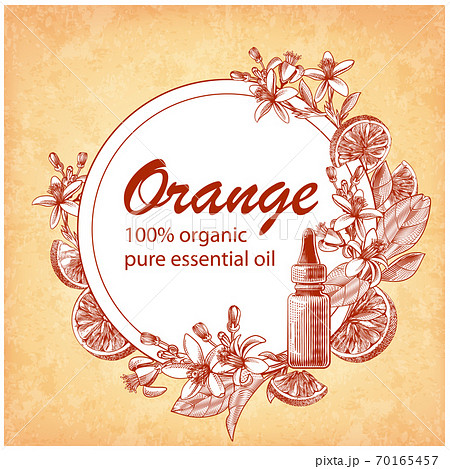 Engraved essential oil with orange fruits, leaves, flowers Engraved essential oil with orange fruits, leaves, flowers 70165457