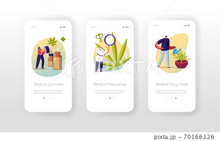 Medical Cannabis Mobile App Page Onboard Screen Template. Tiny Scientists Growing and Preparing Medicine of Marijuana 70166126