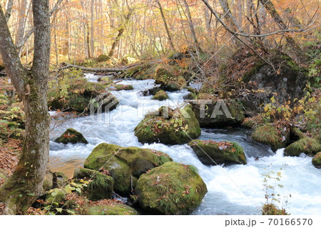 秋の奥入瀬渓流 秋の奥入瀬渓流 70166570