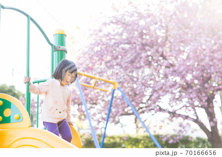 桜の樹の下で遊ぶ子供 70166656