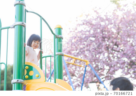 桜の樹の下で遊ぶ子供 桜の樹の下で遊ぶ子供 70166721