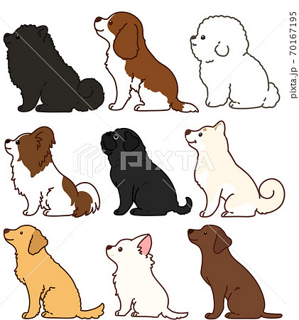 横向きでお座りする色々な犬のシンプルで可愛いイラスト セットc 主線ありのイラスト素材
