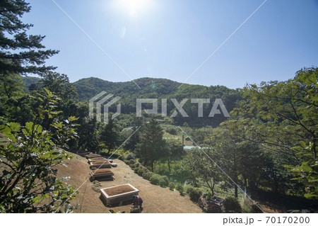 風景 木 スリサン 70170200
