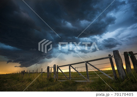 Pampas sunset landscape, La Pampa, Argentina 70170405