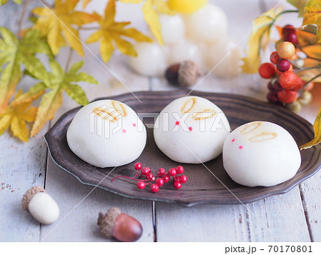 お月見 かわいいうさぎまんじゅう 70170801